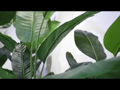 Βίντεο περιστρεφόμενου τμήματος