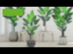 Ψευδής Φοινικιά του Ταξιδιώτη - 180cm/200cm Πραγματική PE Φύλλα Τεχνητή Φοινικιά