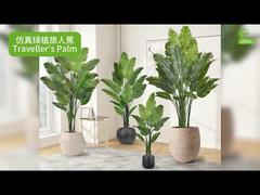 Τεχνητή Ψευδοπαραδείσια με Ρεαλιστικές Άκρες Φύλλων 160cm 180cm | Φυσική Ψεύτικη Ψευδοπαραδείσια