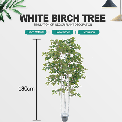 Το υπαίθριο εσωτερικό τεχνητό άσπρο δέντρο σημύδων φυτεύει τον αρχιτεκτονικό εξωραϊσμό