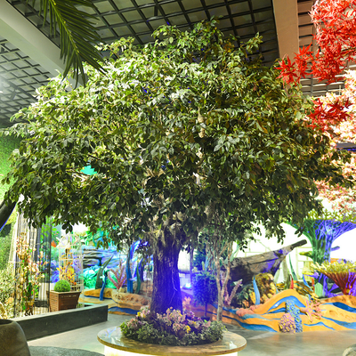 2m τεχνητό τοπίων δέντρο φυλλώματος αιθουσών έκθεσης ύψους συνήθειας ύφους Ficus Γ δέντρων μεγάλο