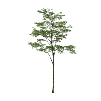 Συνήθειας γωνιών τεχνητό Ficus μινιμαλιστικό ύφος διακοσμήσεων δέντρων διαστημικό