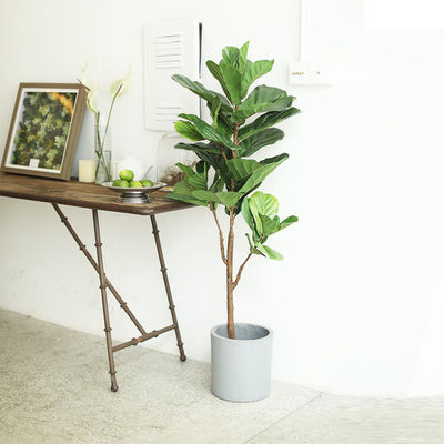 120cm 160cm Artificial Ficus Lyrata House Floor Plants Evergreen Refreshing Plants