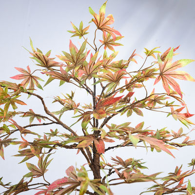 200cm Artificial Maple Tree No Light No Inserts Faux Potted Plants For Indoor Decor