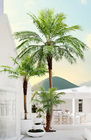 Nordic Retro Bionic Tropical Phoenix Palm Tree Floor Green Hotel Decor