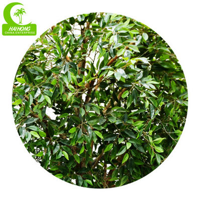 No Nursing H150cm Plastic Ficus Tree , Small Artificial Tree durable