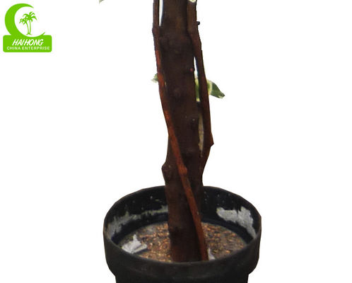 Wholesaler Popular Beautiful 165cm Artificial Variegated Ficus Tree Indoor Decor And Space Landscaping