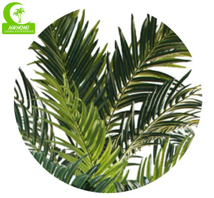 Large Size 230cm Artificial Coconut Tree For Theme Park Decoration