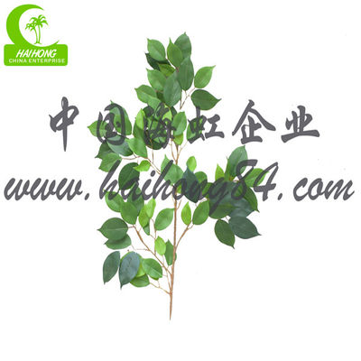 Real Touch 170cm High Artificial Ficus Tree , Silk Artificial Tree For Office