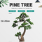 εγκαταστάσεις διακοσμήσεων μπονσάι δέντρων πεύκων 150cm τεχνητές για το λουτρό