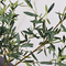 195cm τεχνητά ελιών ελαφριά διακοσμήσεων Restarant φύλλα υφάσματος μπονσάι αειθαλή