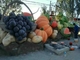 Χαριτωμένο Topiary γλυπτό φρούτων και λαχανικών, υπαίθριο γλυπτό κήπων ζωηρόχρωμο