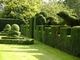 HAIHONG όμορφο Topiary γλυπτό εγκαταστάσεων και λουλουδιών μοντέρνο