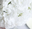 Θάμνοι Hydrangea τεχνητών λουλουδιών αφής αντι γήρανσης πραγματικοί ζωηρόχρωμοι