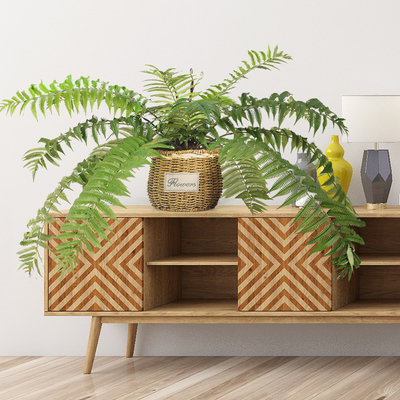 70cm Artificial Fern Tree Indoor Decor Living Room Evergreen Tropical Plant Custom Height