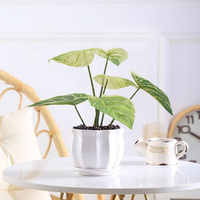 Artificial Small Green Potted Plants 32cm High 37cm Wide Evergreen Table Plants