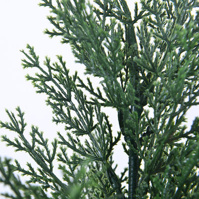 120-200cm Custom Size Artificial Cypress Evergreen In All Seasons Potted Floor Plants