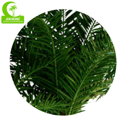 Luxury 400cm Artificial Tropical Tree For Garden Landscaping