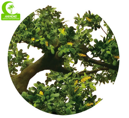 Lifelike Artificial Potted Floor Plants High Simulation Topiary Greenery Boxwood