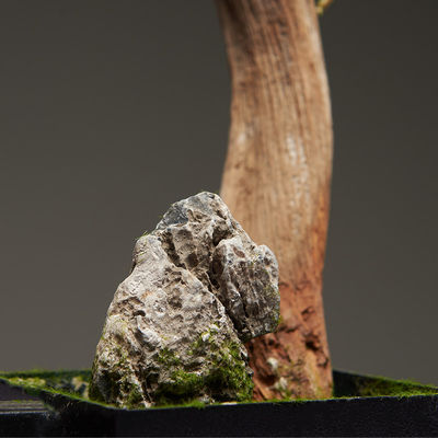 Potted Plant 80cm Height Artificial Landscape Trees For Home Office Table Decor